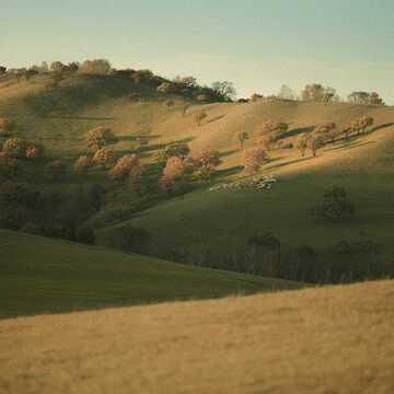 Lorraine Lancaster testimonial image