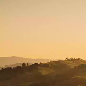 Lorraine Lancaster testimonial image