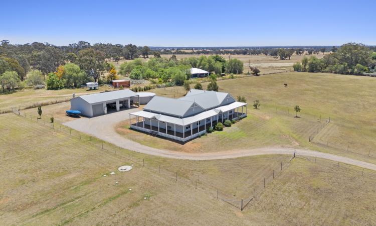 Paradise In A Harkaway Home On 9.8 acres!