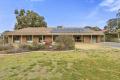 Four bedroom family living on a spacious allotment