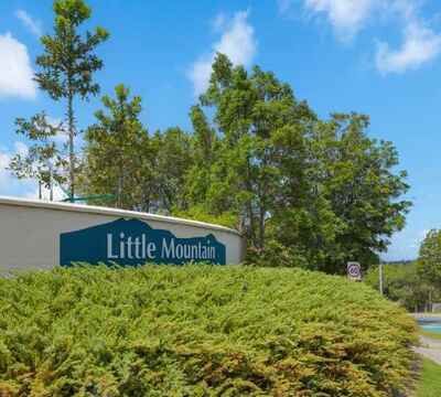 Little Mountain