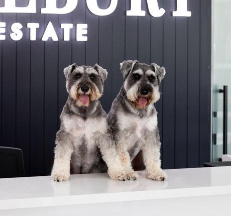 Frank & Albert Obee photo