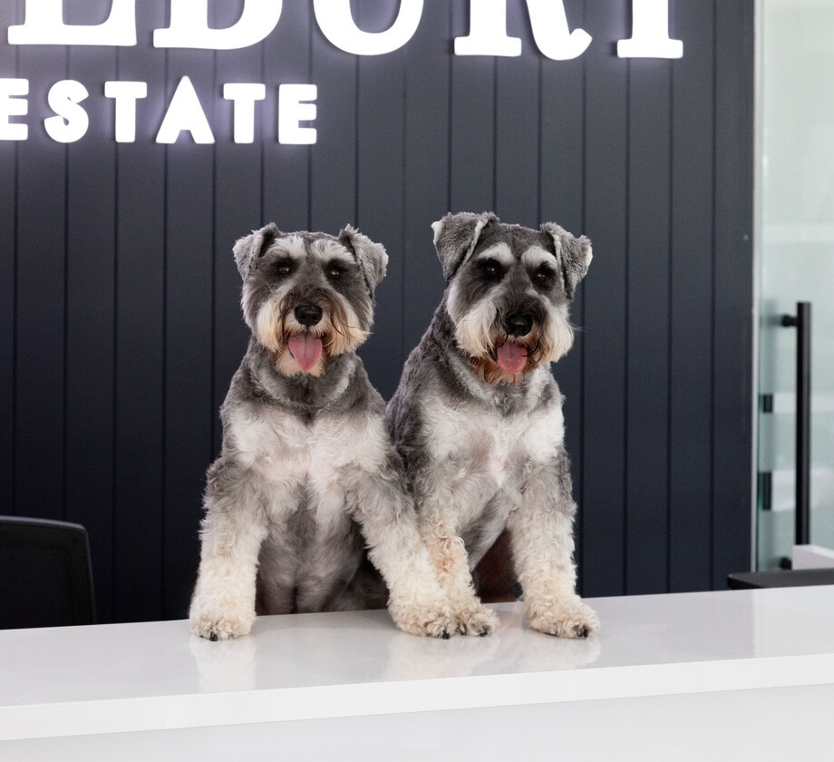 Frank & Albert Obee photo