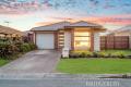 Stylish, Spacious & Perfectly Positioned - Modern Living in the Heart of Mango Hill