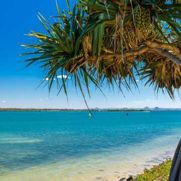 Liz C testimonial image