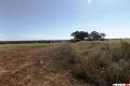 Approx 10 acres of vacant land - Kingaroy, QLD