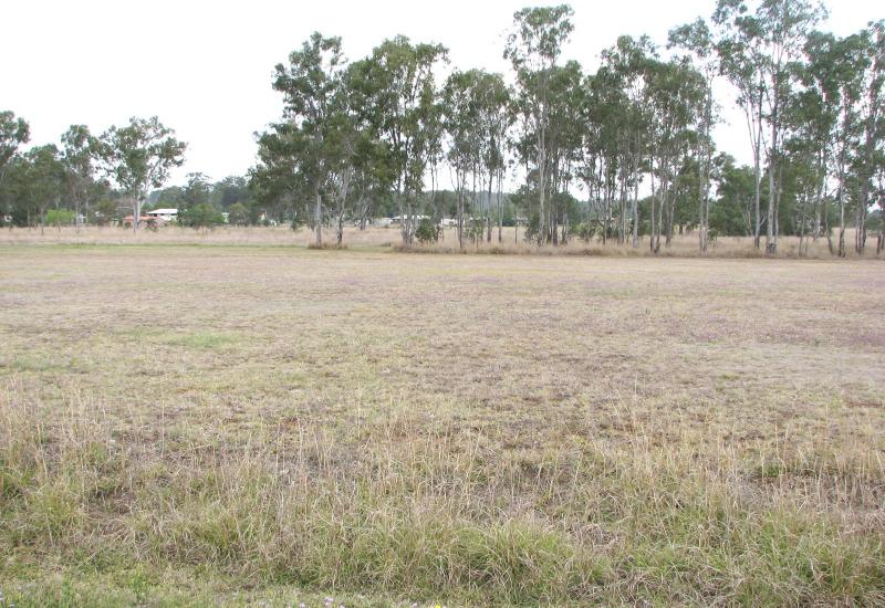Vendor Finance on 1.2 Ha in Wondai - Vacant land.