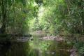 Absolute River Frontage 5 Minutes to Nambour Hospital