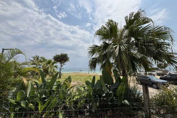 Tangalooma's Best Blank Canvas