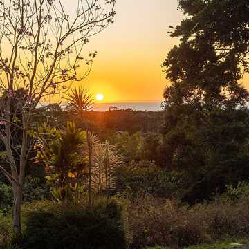 Katie Biggs testimonial image