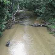 Buyer of a Vacant Land in Carruchan