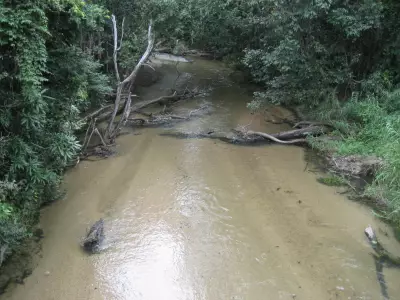 Adrian H testimonial image