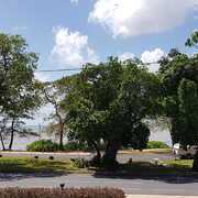 Buyer of a House in Cardwell