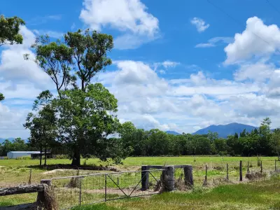 scott t testimonial image