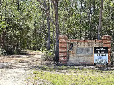 debbie c testimonial image