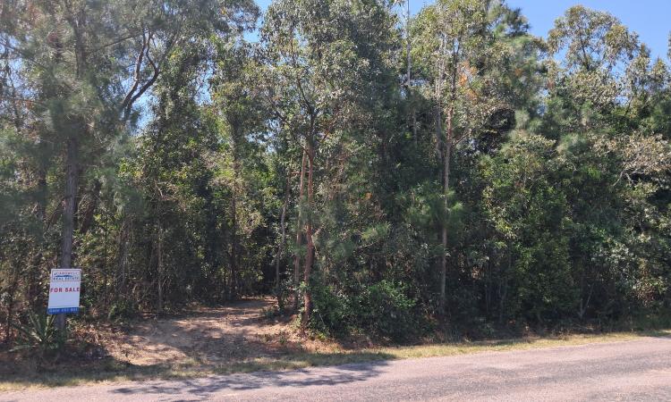 Rural Acreage Close to Cardwell