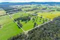 Lifestyle Property with Productive Pastures