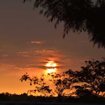 Marguerite Newton testimonial image