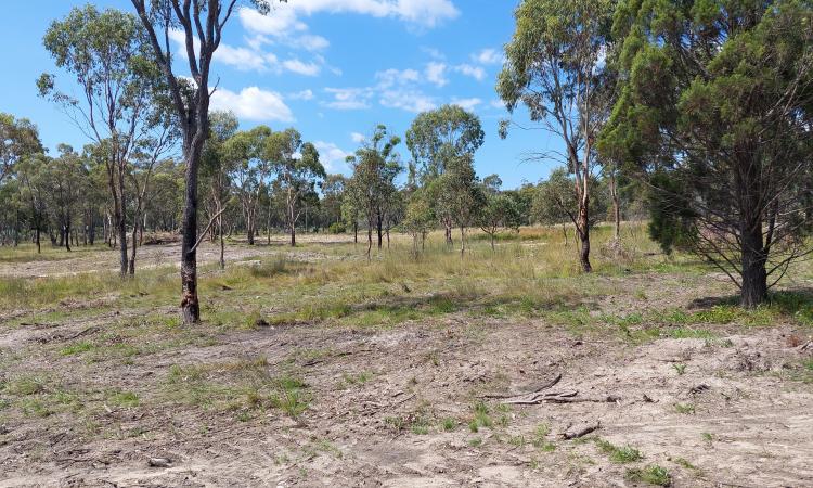 Vacant 15 Hectares - 6km to Stanthorpe Centre
