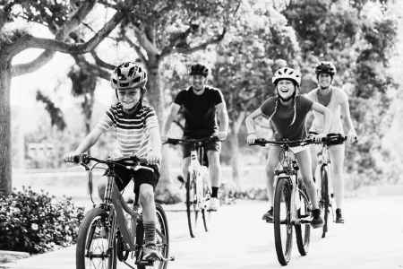 Bicycle Shop in South Eastern Suburbs Of Melbourne