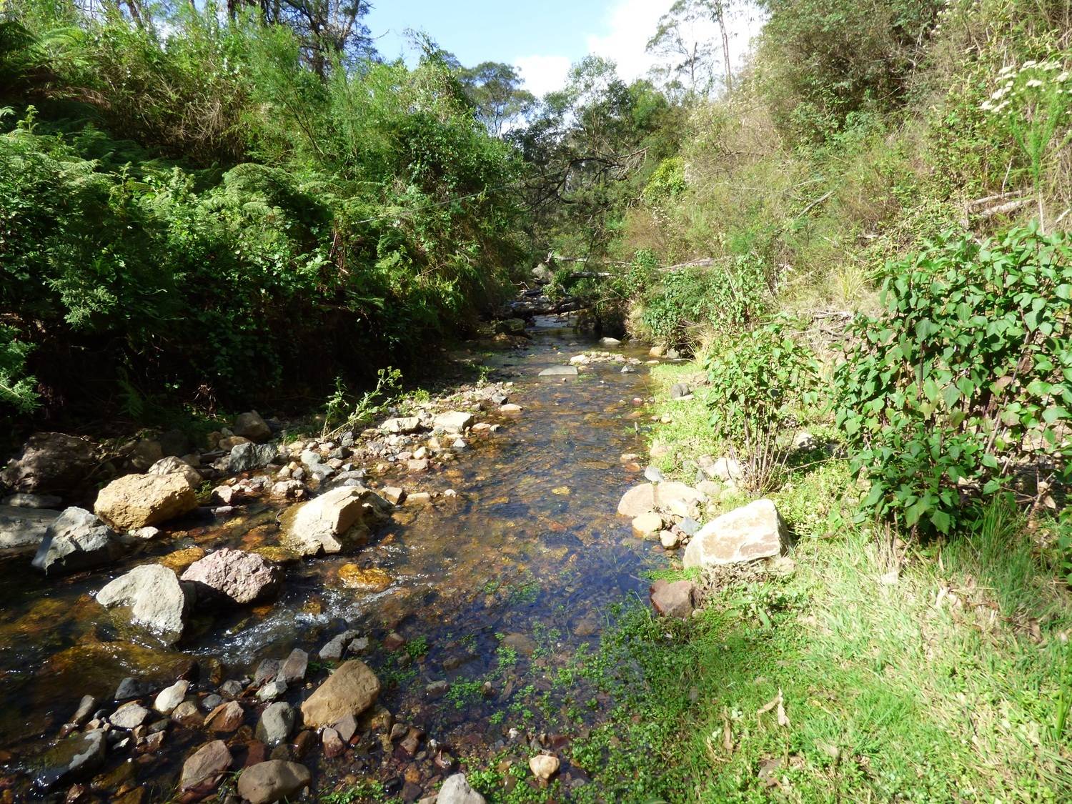 Lot 1122 Ruggs Road, Nethercote, Nethercote - Thumbnail 2