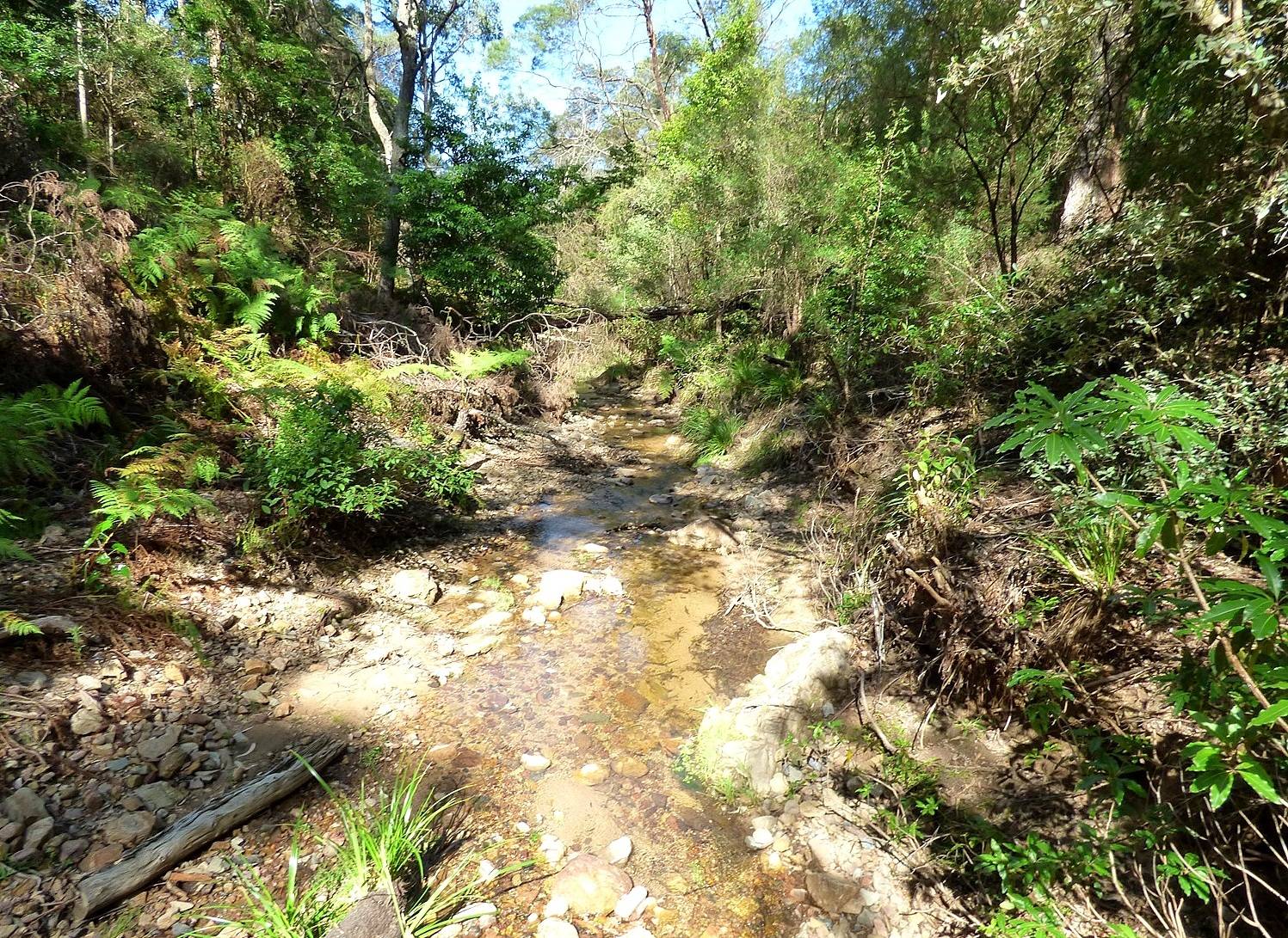 1412 Mount Darragh Rd, Lochiel, Lochiel - Thumbnail 2