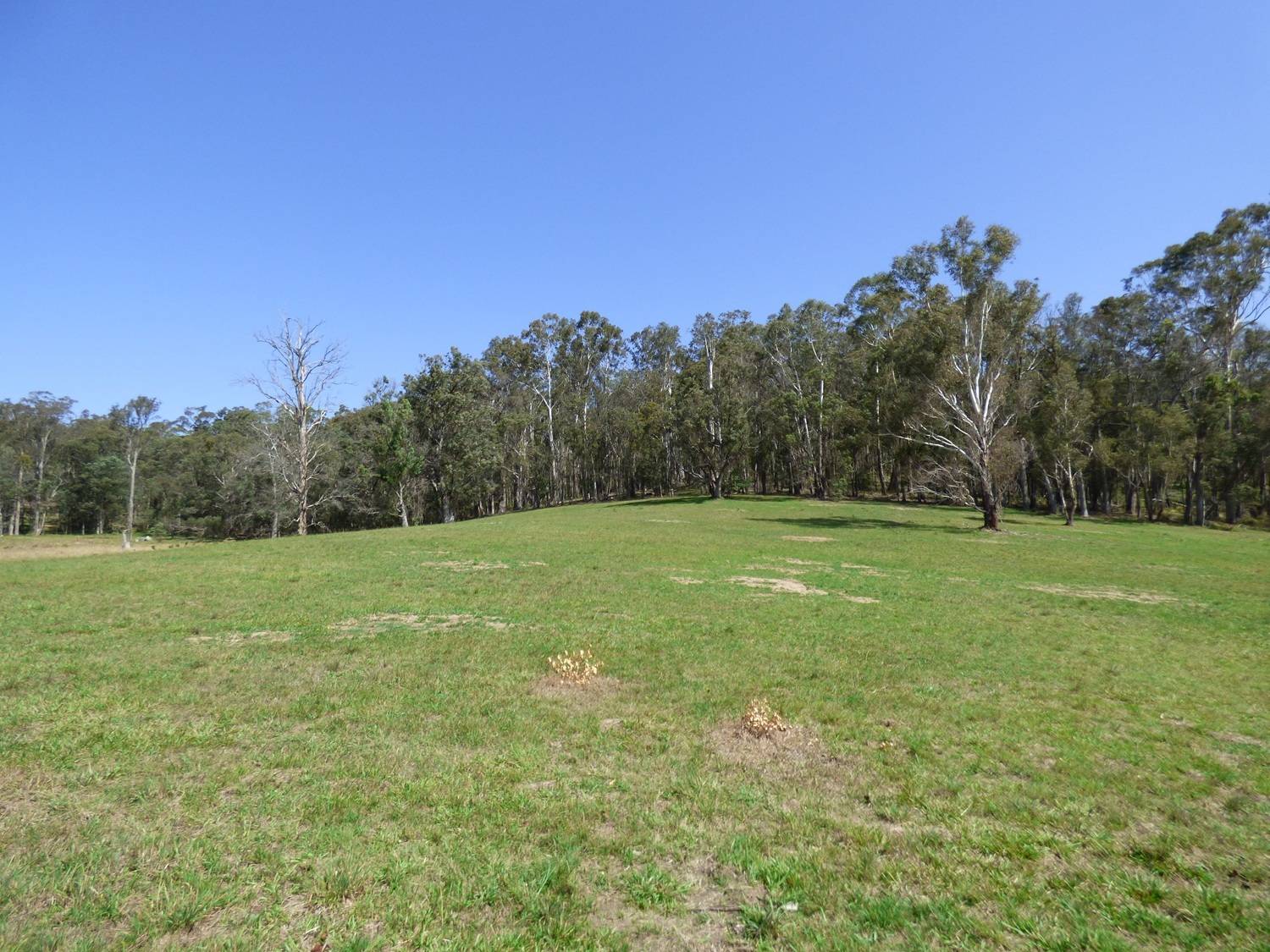Lot D5 102 Old Mill Rd, Wolumla, Wolumla - Thumbnail 4