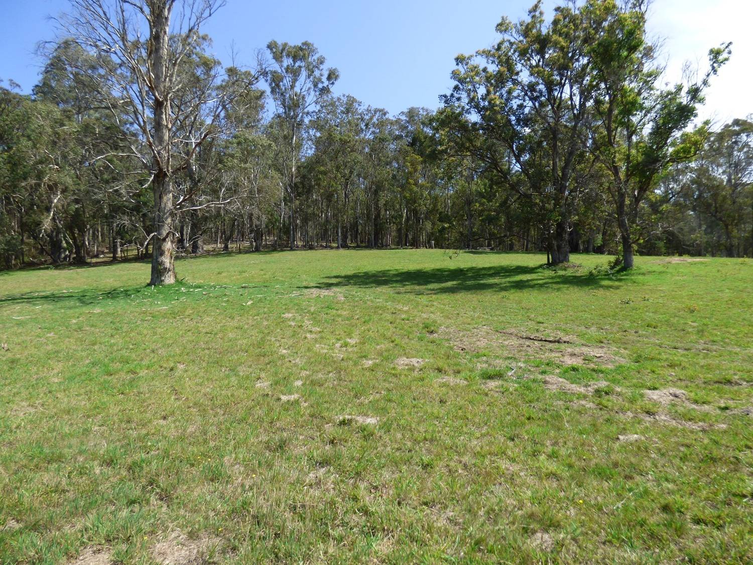 Lot D5 102 Old Mill Rd, Wolumla, Wolumla - Thumbnail 7