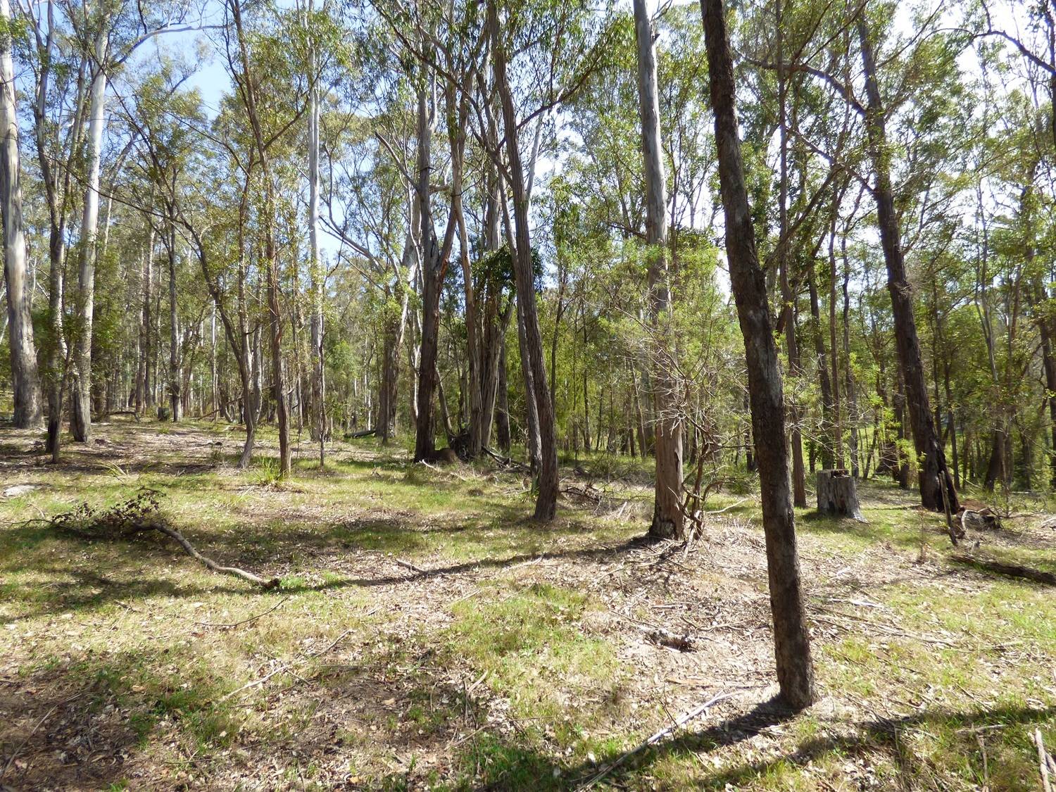 Lot D5 102 Old Mill Rd, Wolumla, Wolumla - Thumbnail 8