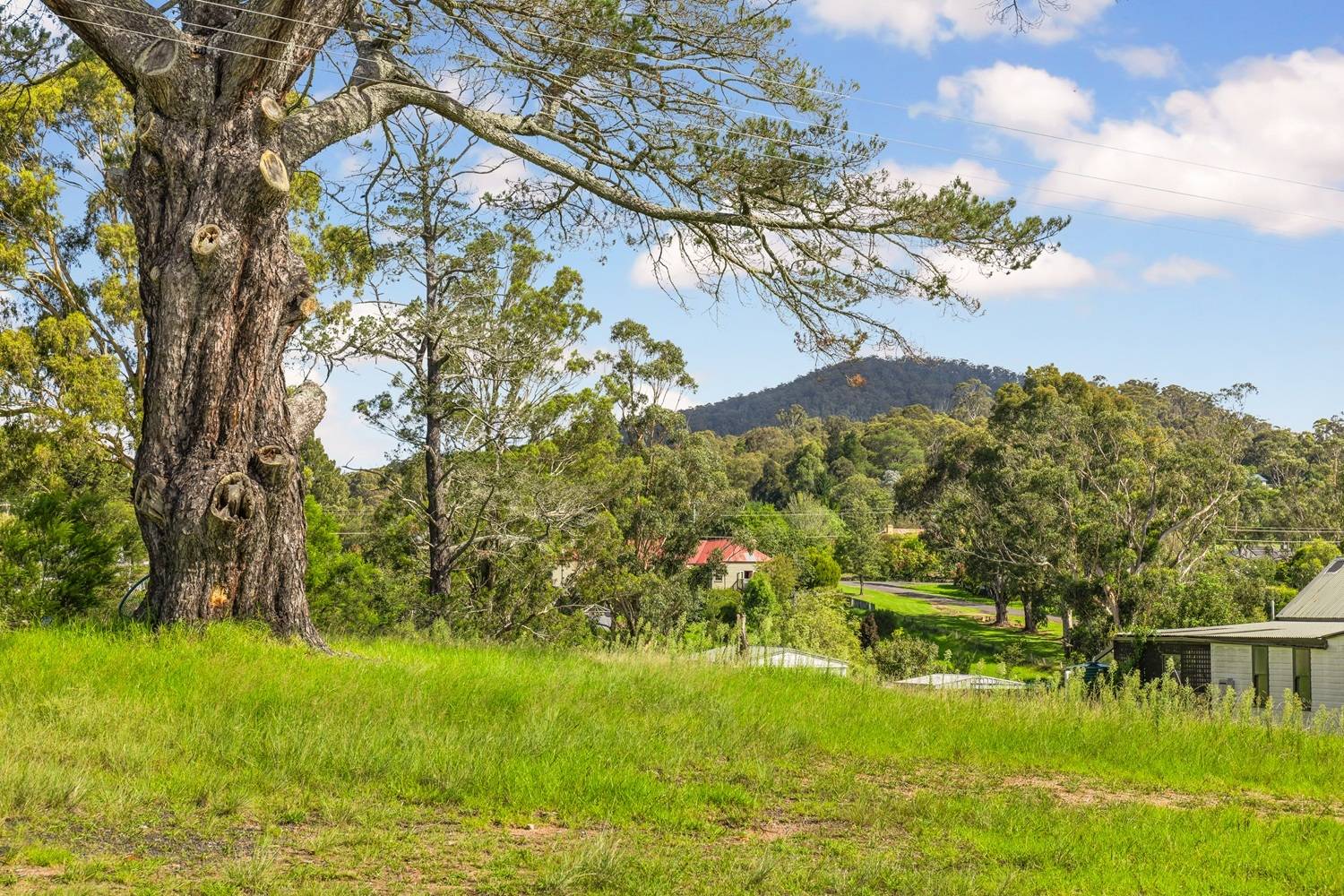 11A Norwood Street, Wyndham, Wyndham - Thumbnail 5