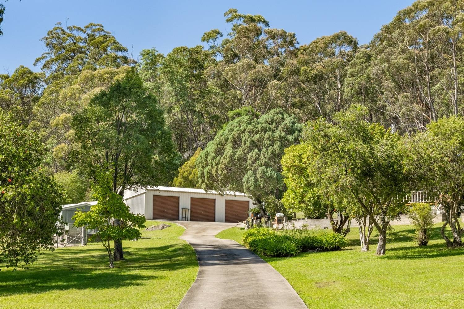 264 Back Creek Road, Nethercote, Nethercote - Thumbnail 3