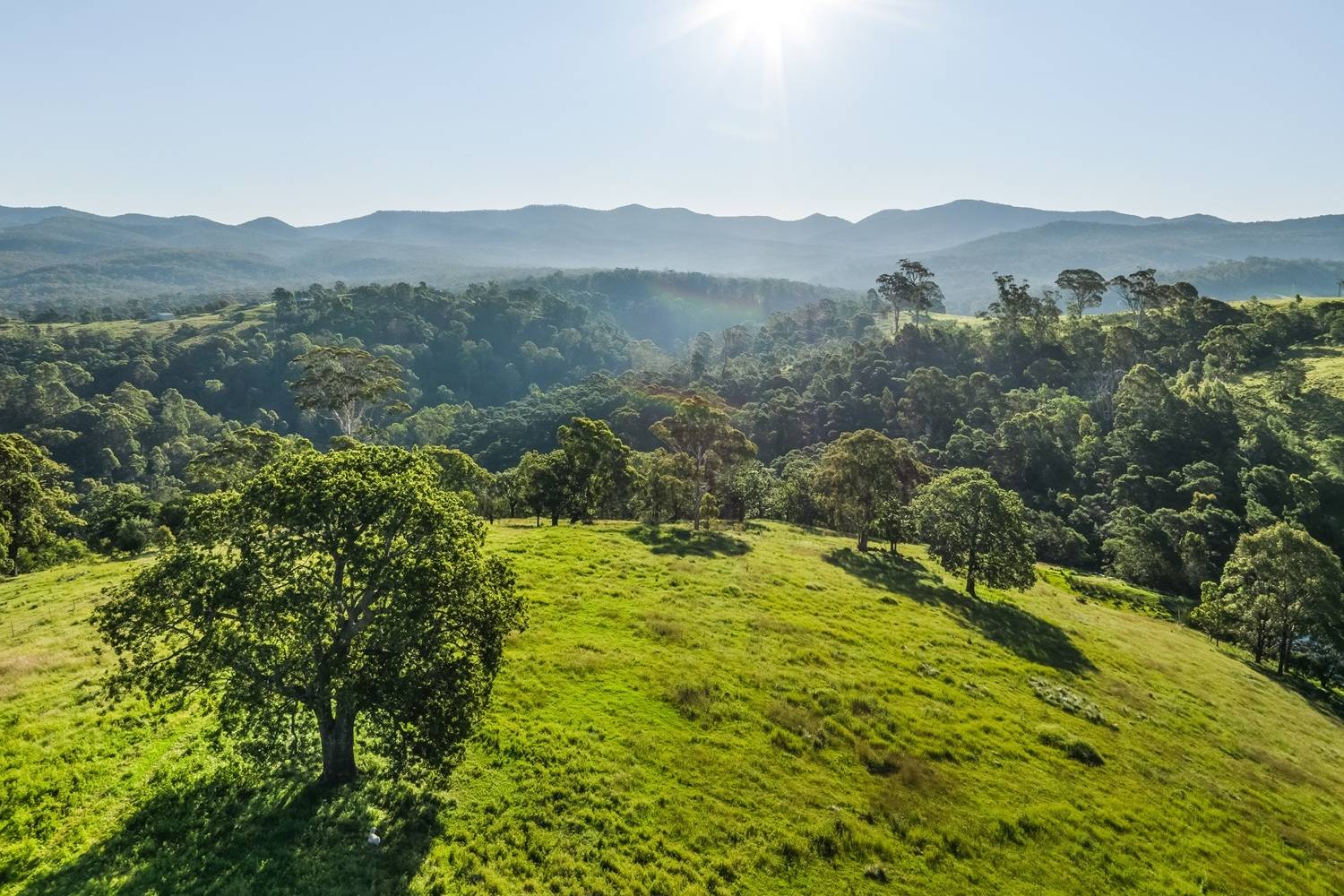 50 Omaru Lane, Bald Hills, Bald Hills - Thumbnail 2