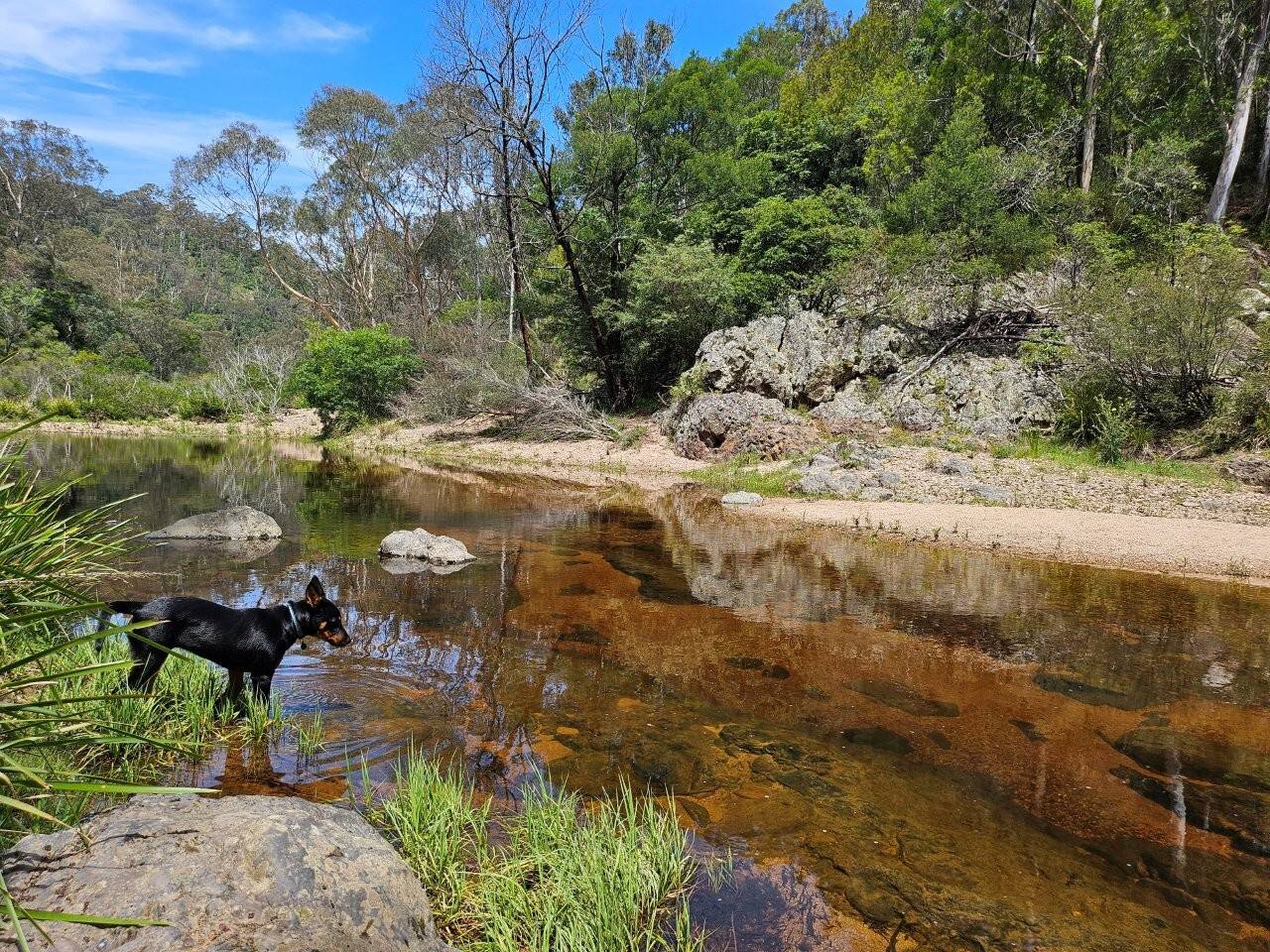 50 Omaru Lane, Bald Hills, Bald Hills - Thumbnail 3