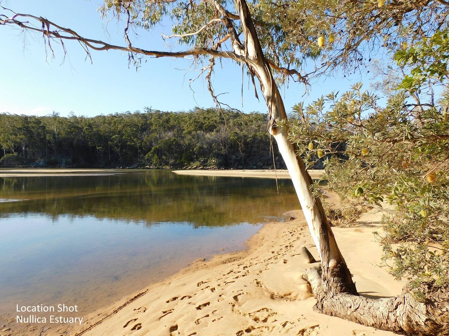 LOT 2, DP750223 Nullica Short Cut Road, Boydtown Via, Eden, Eden - Thumbnail 4