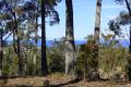 COVE HEIGHTS ~ LOT 281