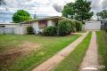 Don’t ‘chirp’ about it – swoop in for a viewing!