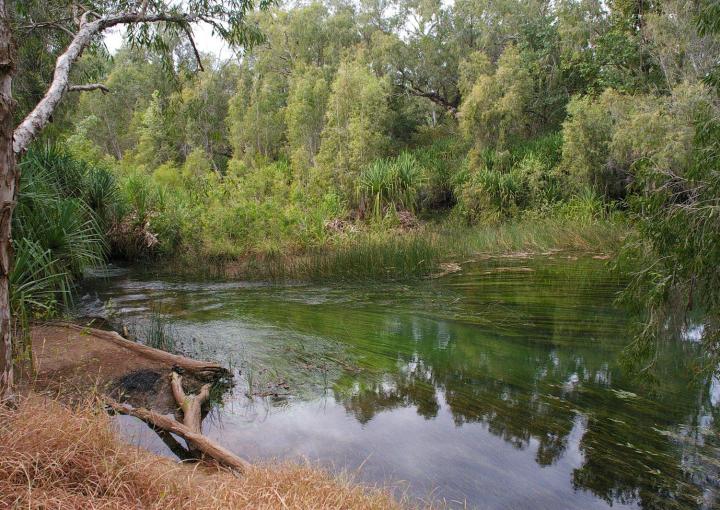 Lot 52 Gleeson Avenue, Gregory Downs