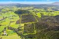One Hundred Acre Bush Block With Amazing 360 Views - Ocean & Mountains