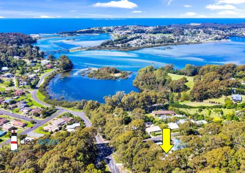 Clearwater Real Estate Houses