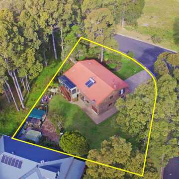 Carol testimonial image