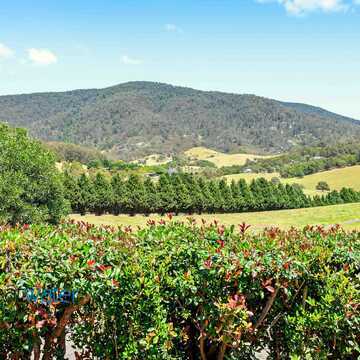 Les & Jenny testimonial image