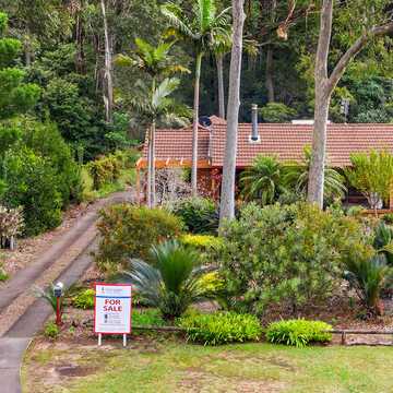 Serena H. testimonial image