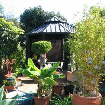 Chris & Di testimonial image