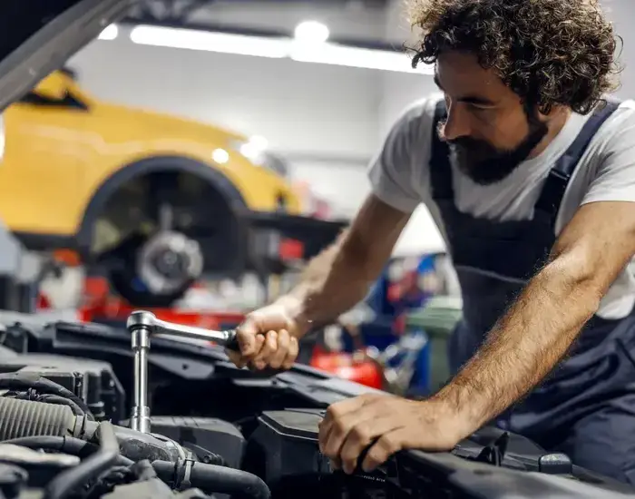 Automotive & Transport