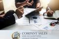 Management Support Services, Well Established Over 28 Years - (CML 11299)
