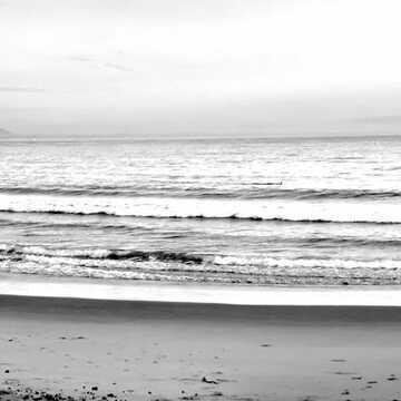 Lily Lee testimonial image