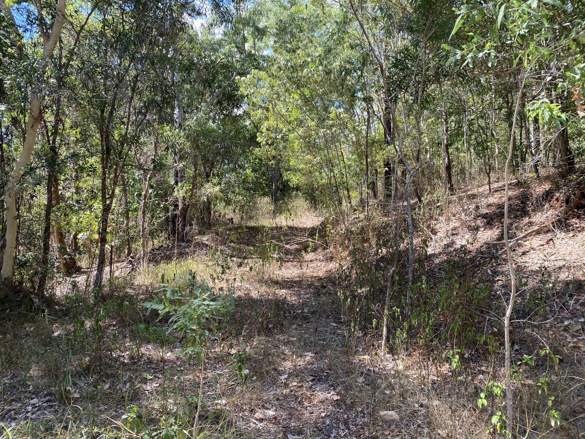 Driveway from house pad #1 heading up to #2