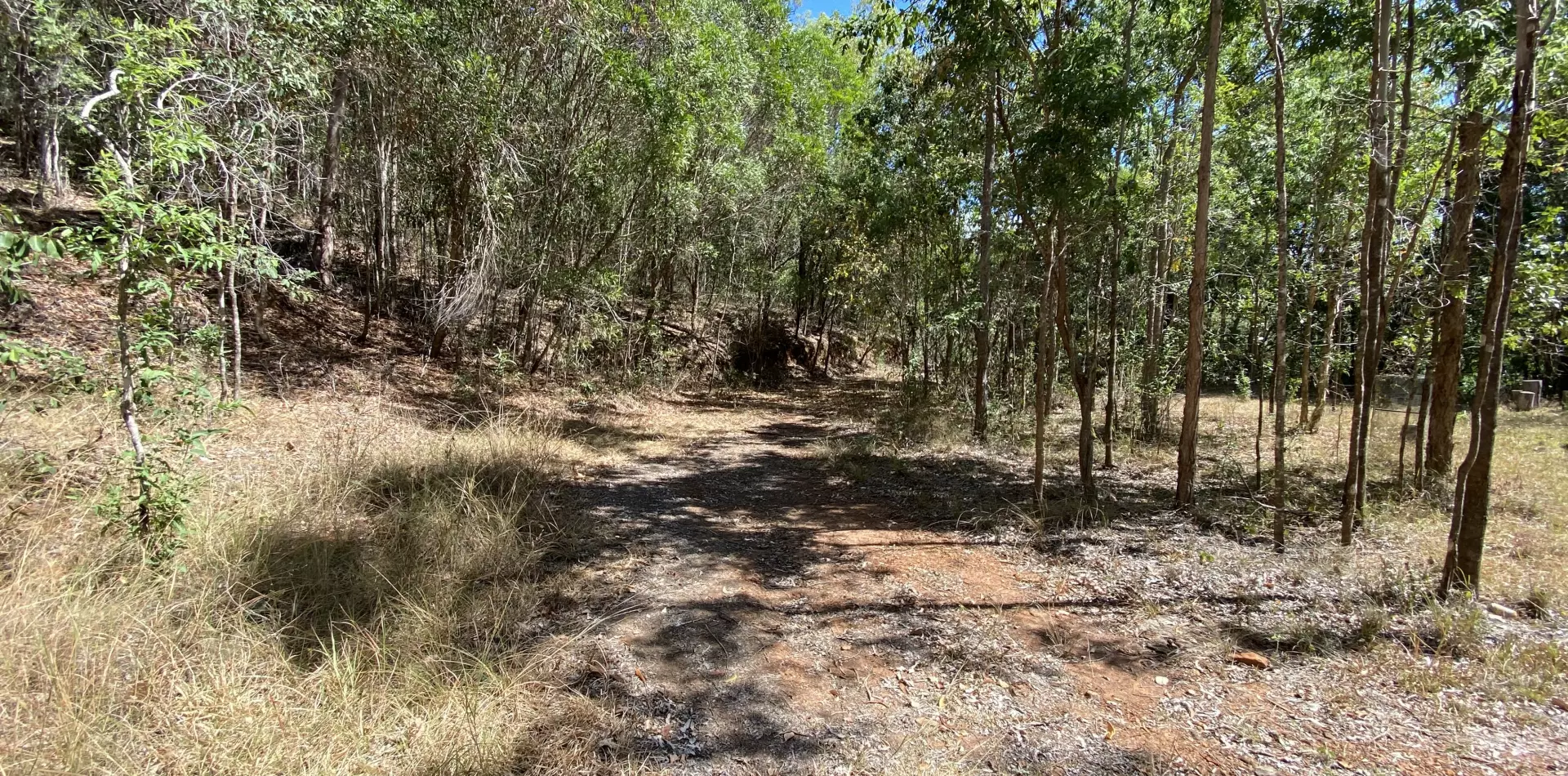 View of driveway heading back down to bottom paddock alongside house pad #1