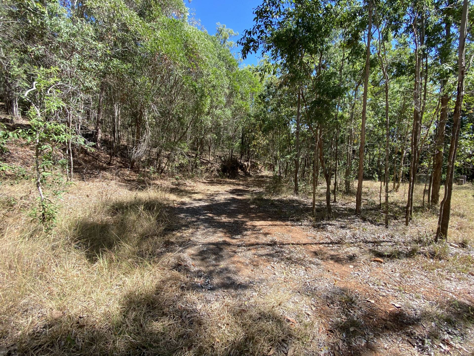 View of driveway heading back down to bottom paddock alongside house pad #1