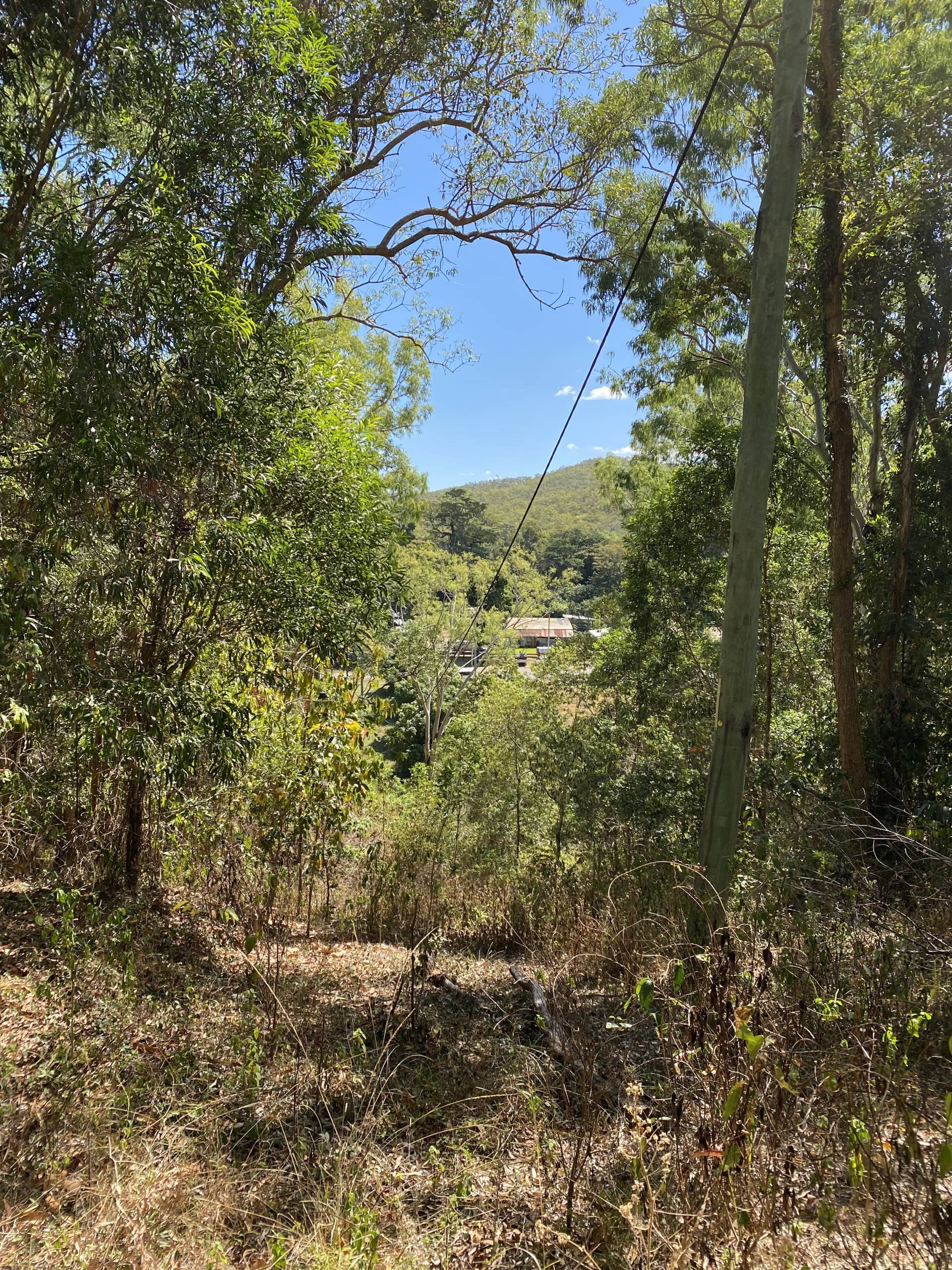 View of Lions Den from house pad #1